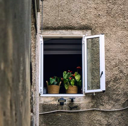 봄 알레르기 비염 - 반갑지 않은 봄 손님