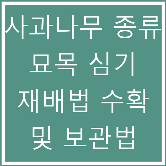 사과나무 종류 묘목 심기 재배법 수확 및 보관법 총정리