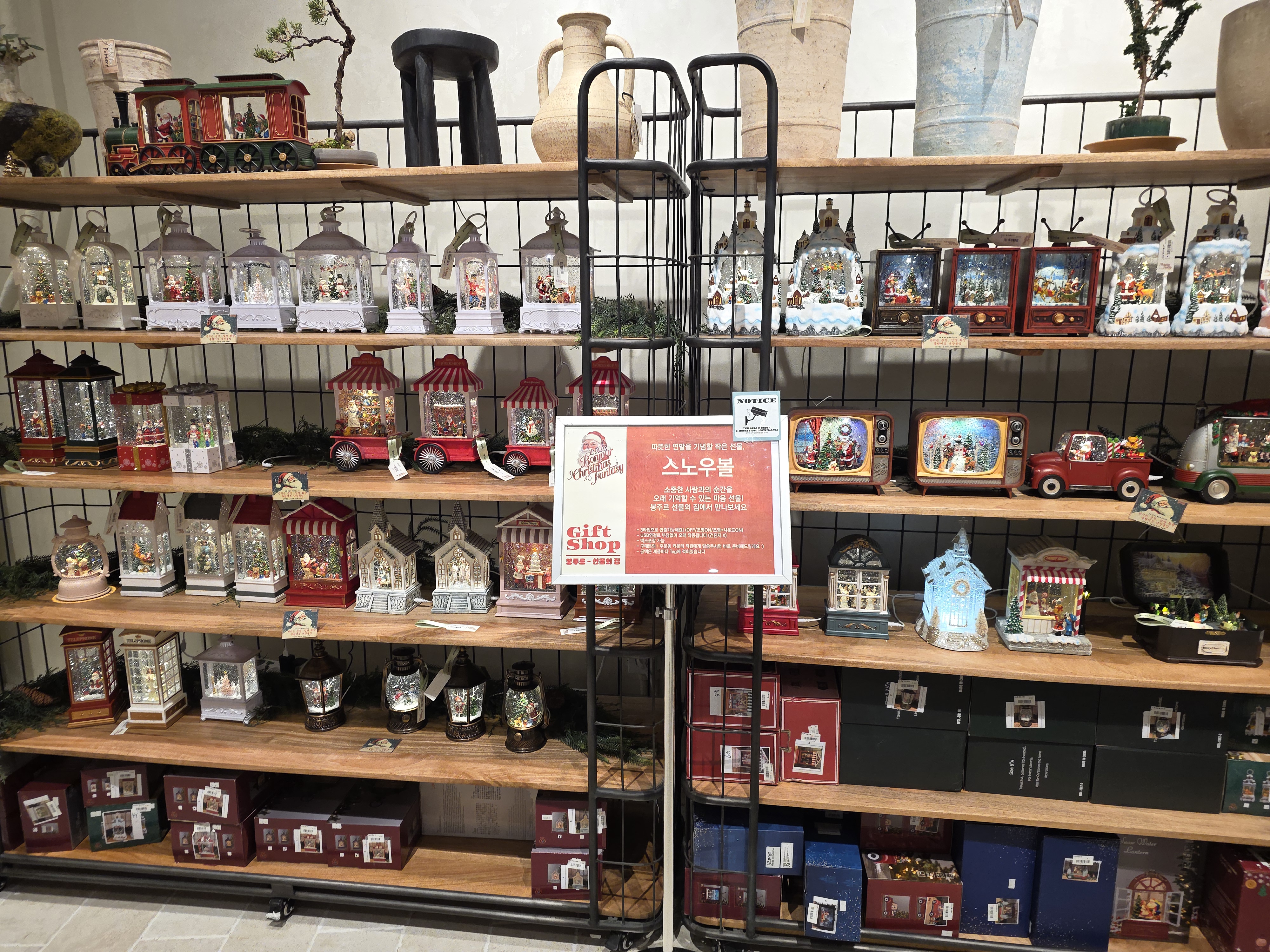 봉주르팔당 in 크리스마스