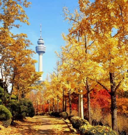 가을-여행하기-좋은-곳-추천