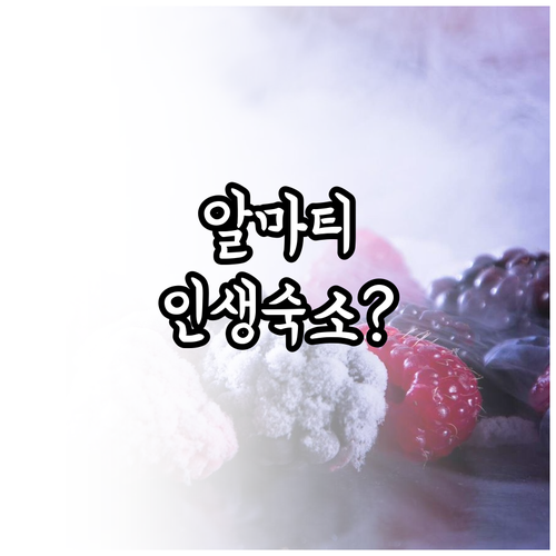 직접 비교한 알마티 호텔 추천 5선 ..