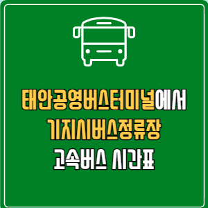 태안공영버스터미널에서 기지시버스정류장 고속버스 시간표 요금 예매