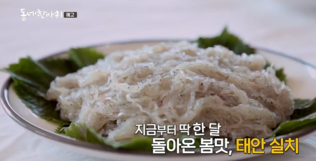 태안-실치