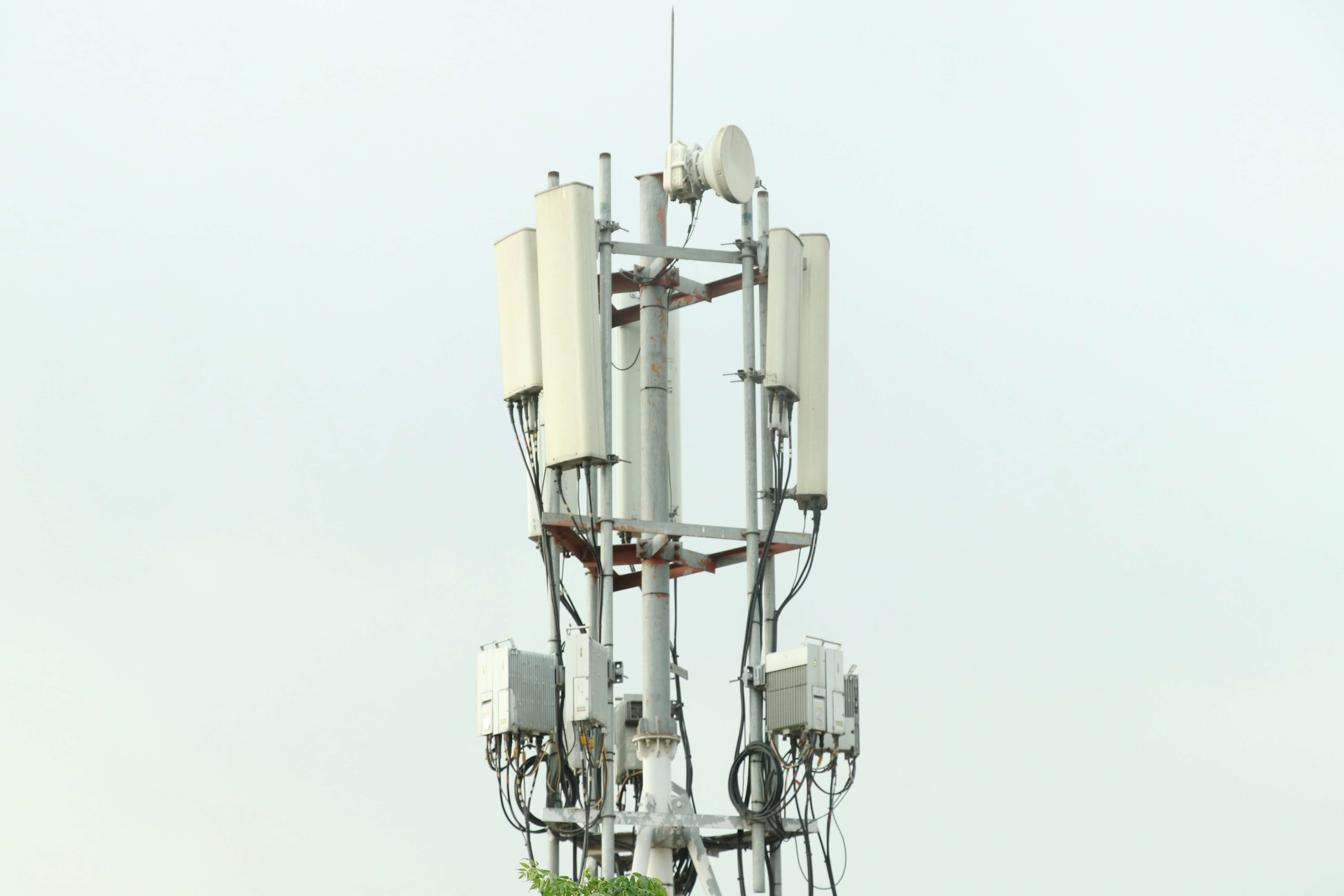 5G에서 6G로 속도, 지연시간, 연결성 비교