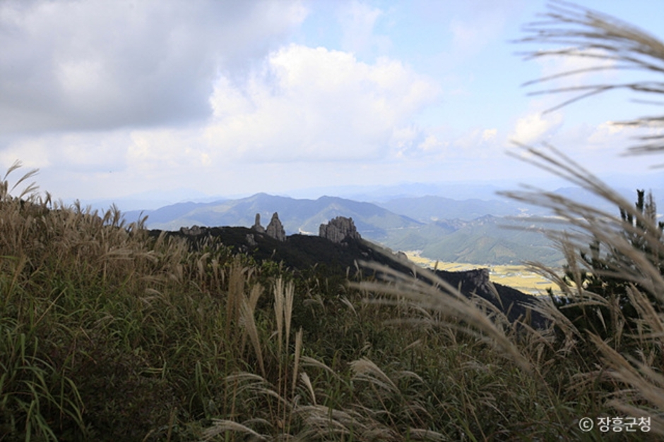 장흥 가볼만한곳 베스트10