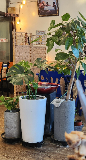 화정태국맛집쿠아촉디