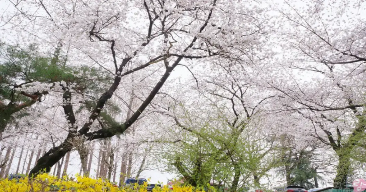 송정공원
