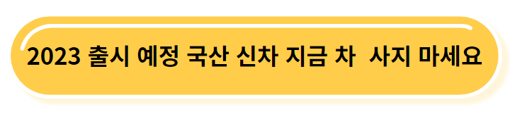 23년 출시예정 신차 링크