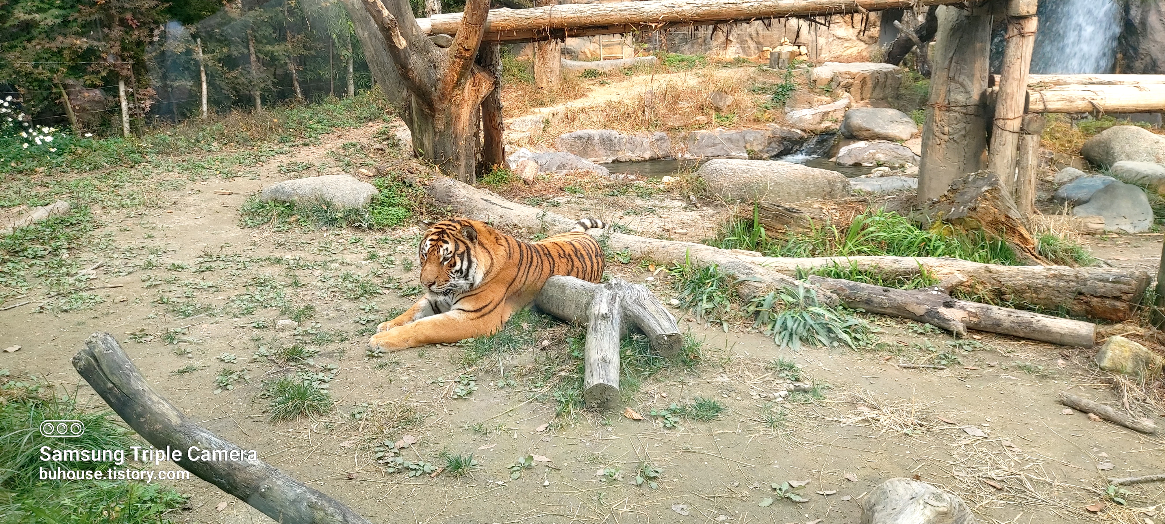 에버랜드
