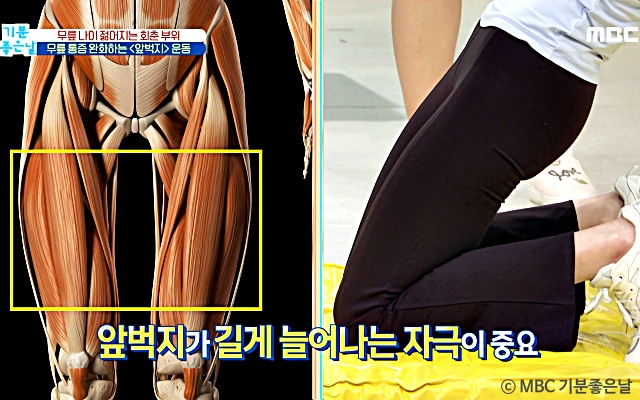 무릎통증에 좋은 운동 앞벅지 운동법, 무릎 아플때 하는 운동, 건강 팁줌 매일꿀정보