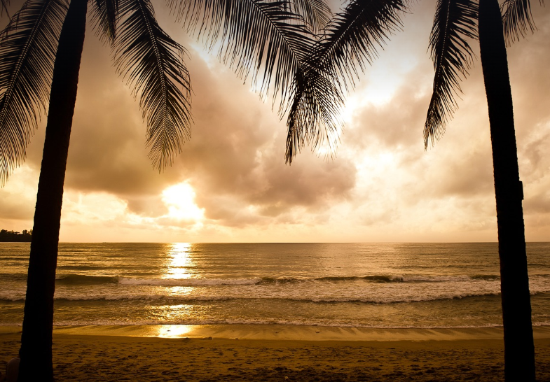 태국 푸켓에서 만난 바다의 진짜 얼굴