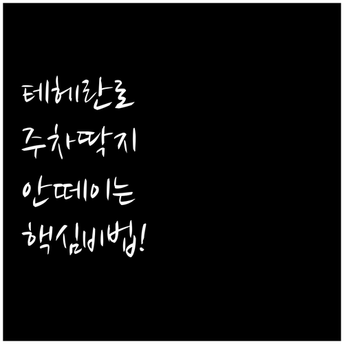 테헤란로 주차 과태료 피하는 실시간 ..