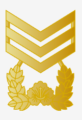 상사 계급장