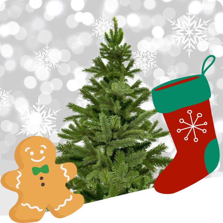 2024년-공휴일-법정공휴일-대체공휴일