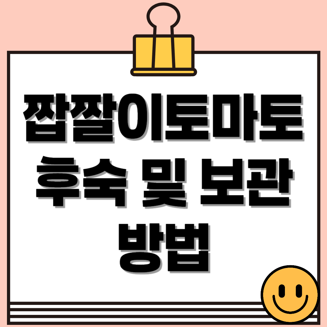 대저토마토(짭짤이토마토), 맛있게 후숙하고 오래 보관하는 법