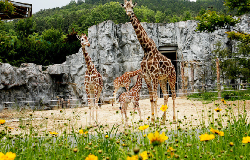 대전 가볼만한곳 베스트10