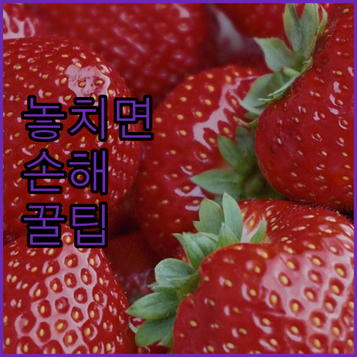 겜스고 이용 후기: 넷플릭스, 네이버..