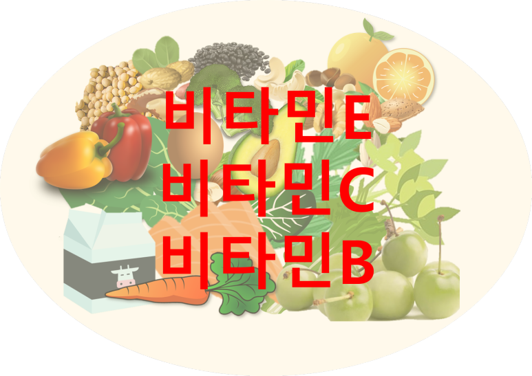 스트레스에 좋은 비티민