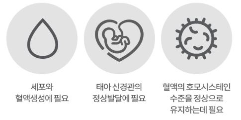 락티브 엽산