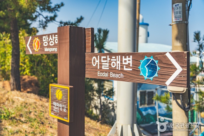 동해 어달해변