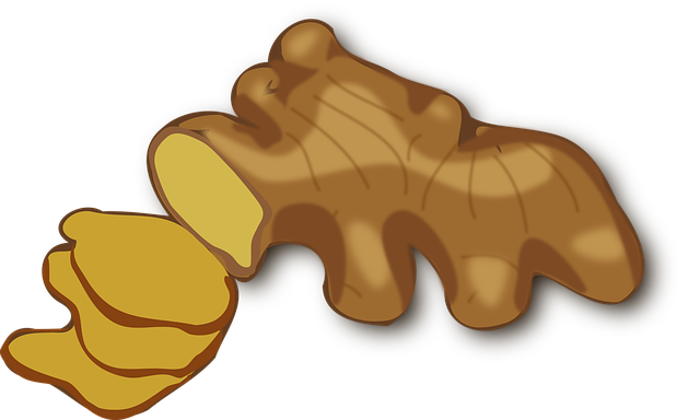 Ginger1