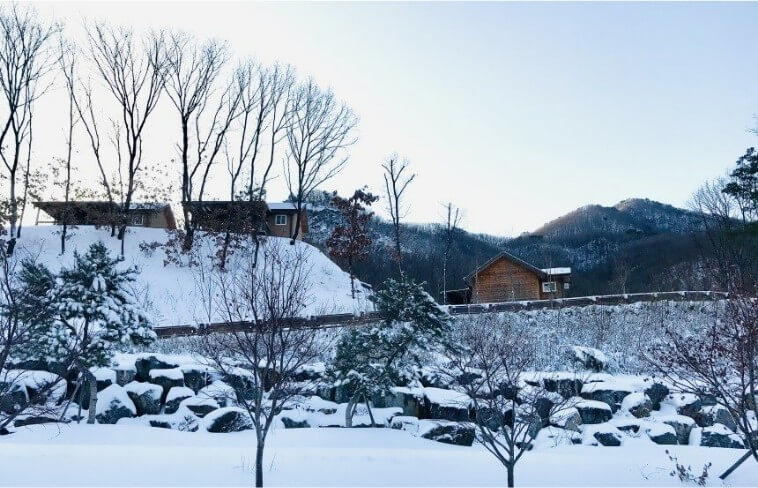 논 쌓인 고대산자연휴양림