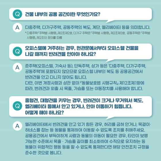 반려견건물출입