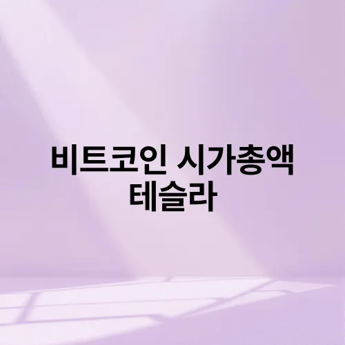 비트코인 시가총액 테슬라