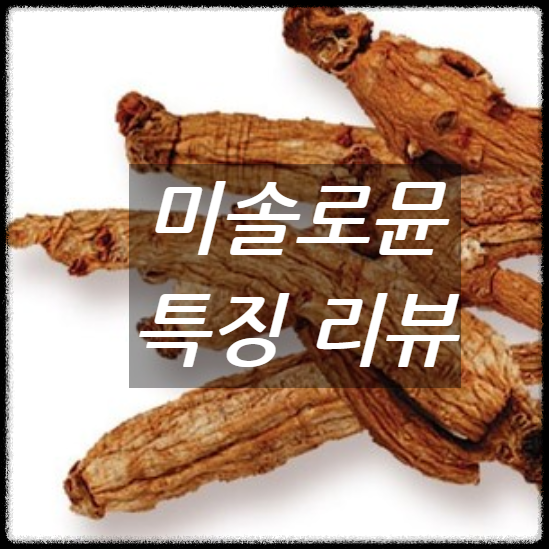 미솔로뮨 대표 이미지