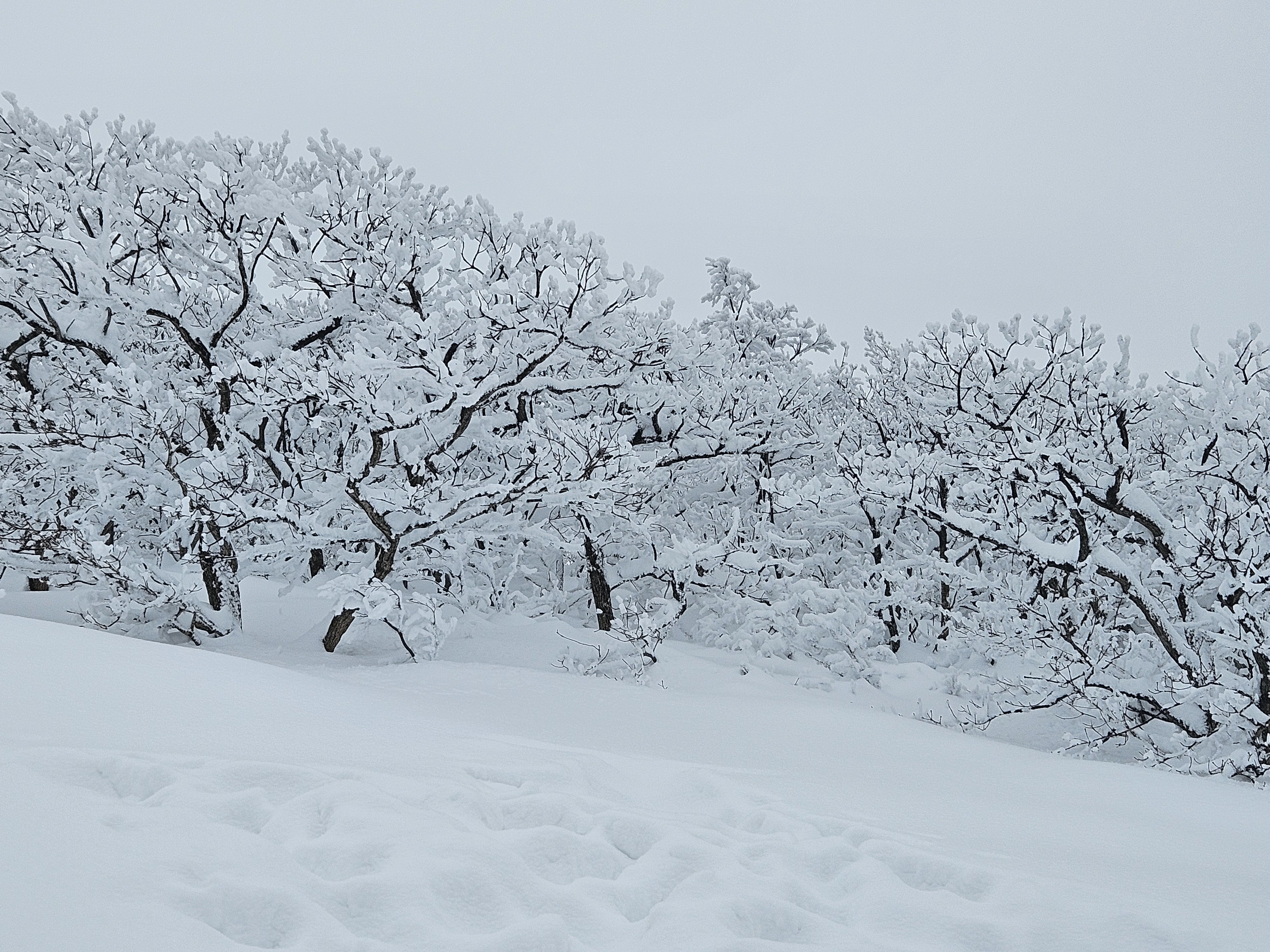 능선위에도 이렇게 많은 눈이