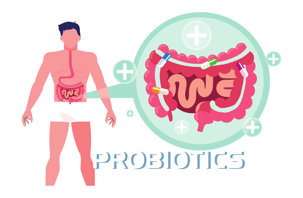 LGG 유산균 추천