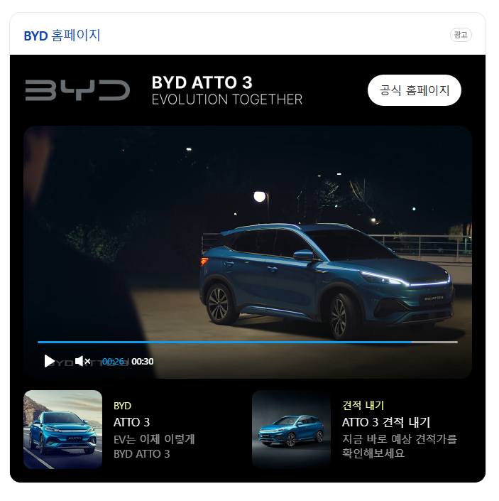 중국의 유명한 비야디 BYD