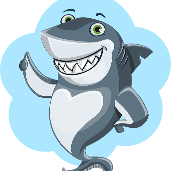 상어연골 콘드로이친 - 상어 이미지