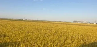 김제 가볼만한곳 베스트10 현지인 추천 필수코스_5