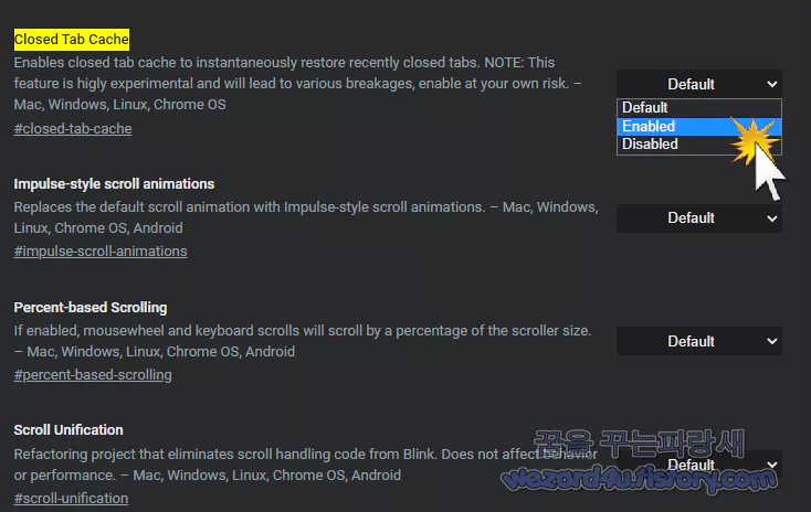 Closed Tab Cache