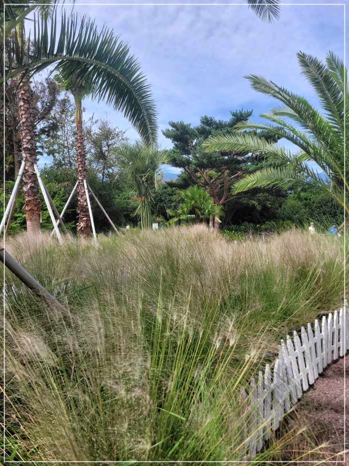 휴애리-핑크뮬리