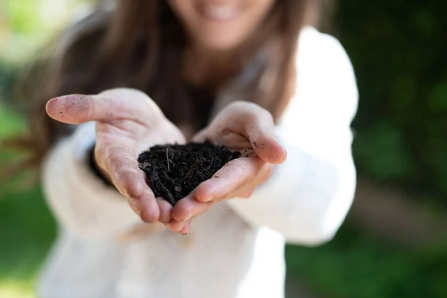 친환경 건축 교육 현장에서 빈집을 활용하는 실습 사례 분석