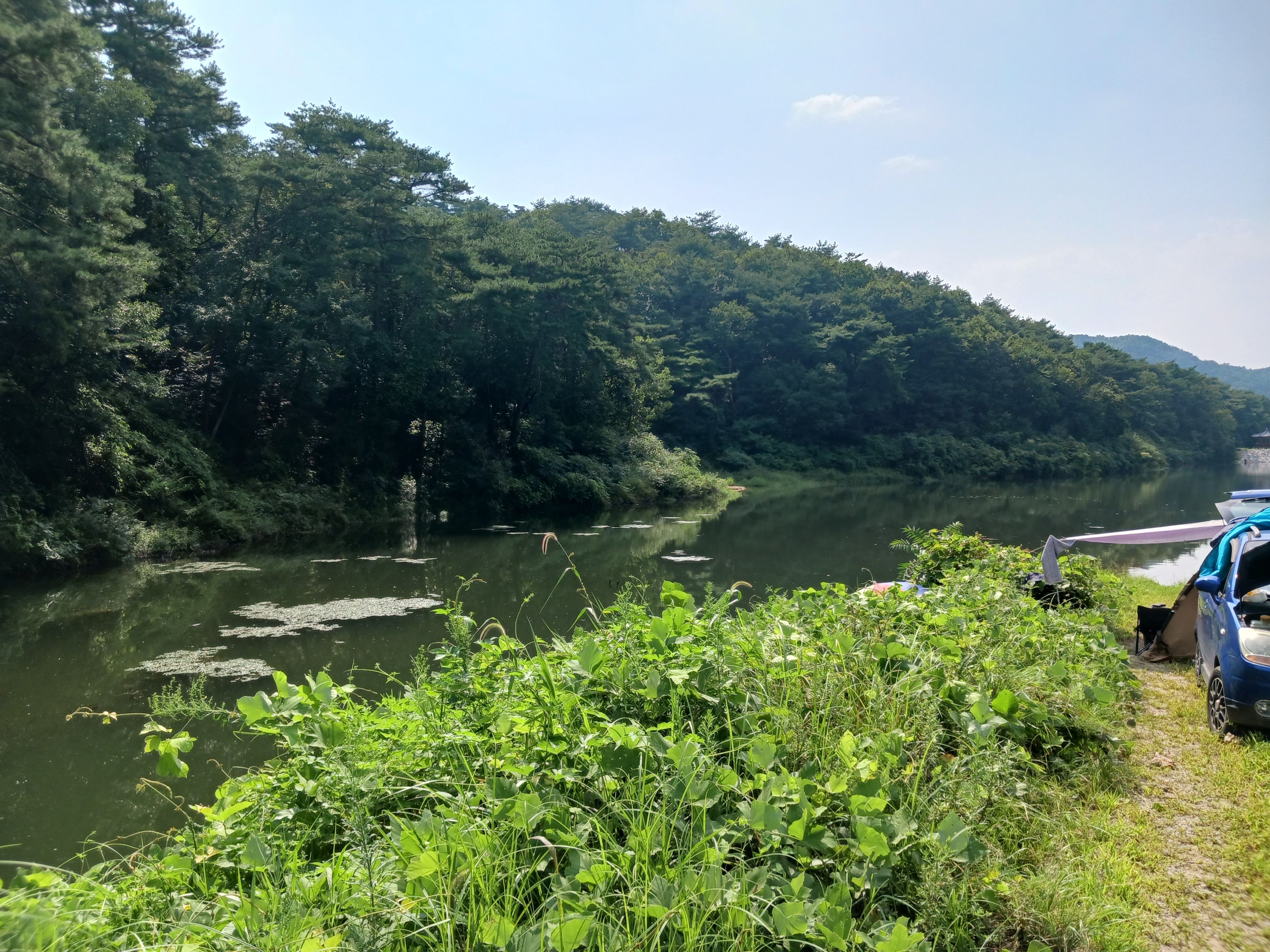 저수지낚시
