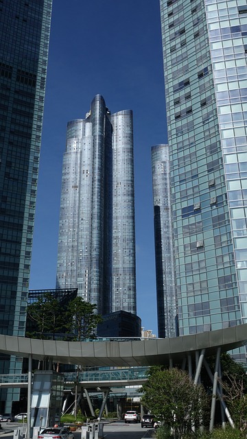 실거주 의무 폐지 아파트