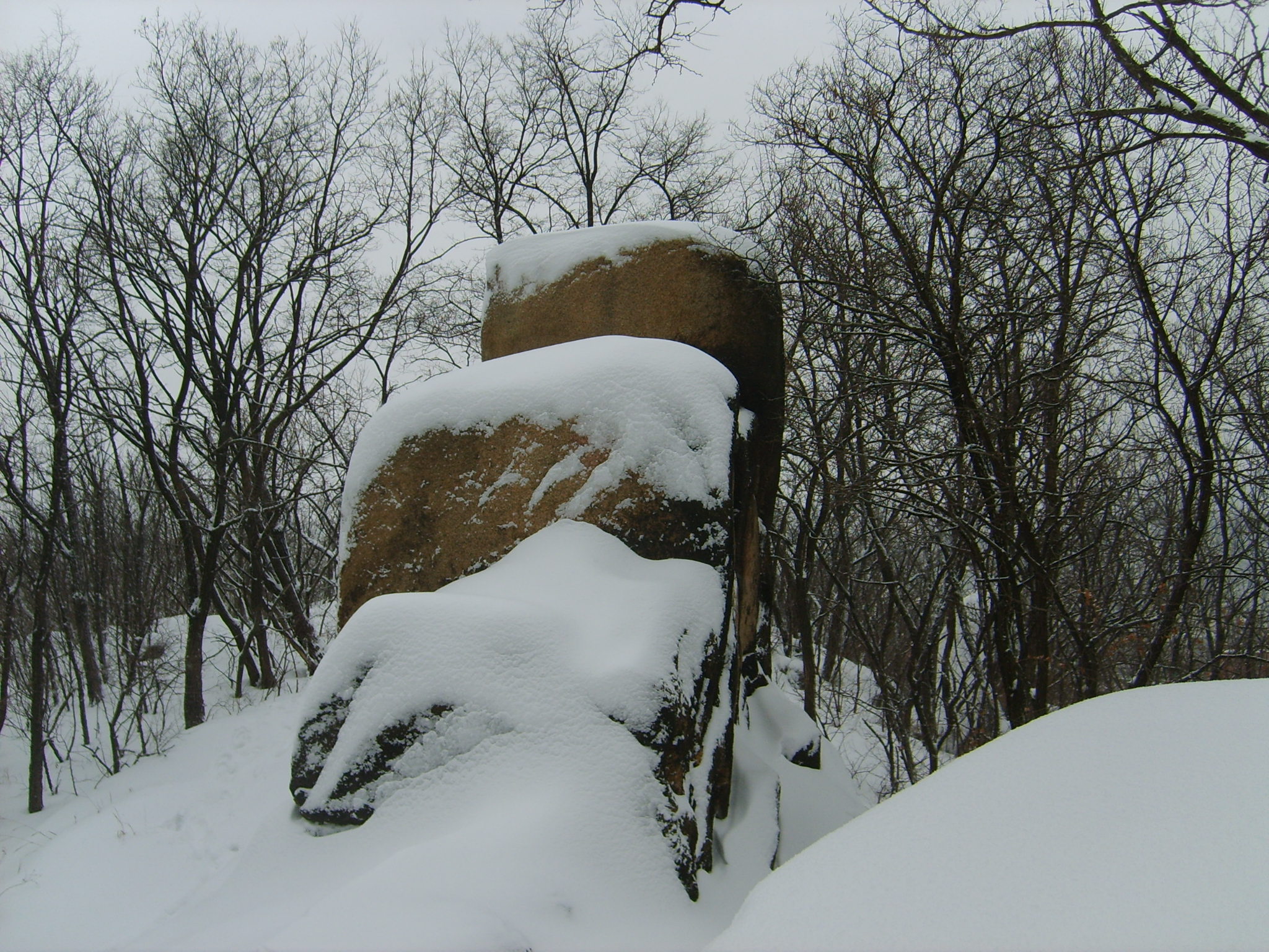 서대문구 안산(Ansan Mountain)