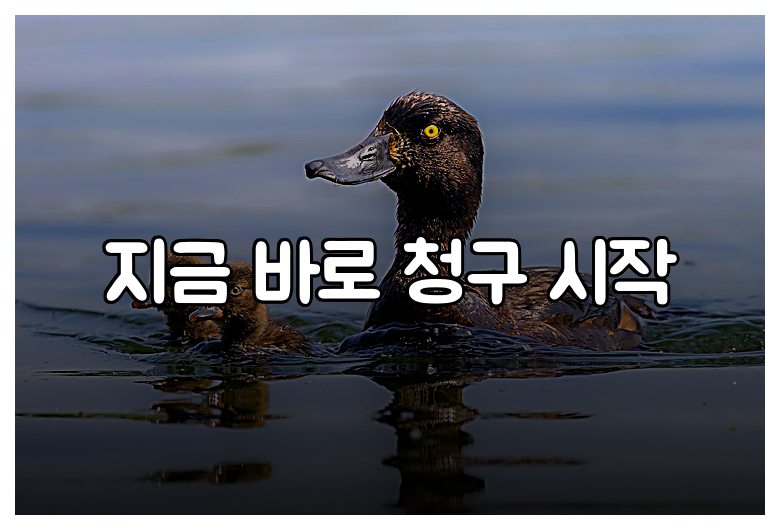 지금 바로 청구 시작