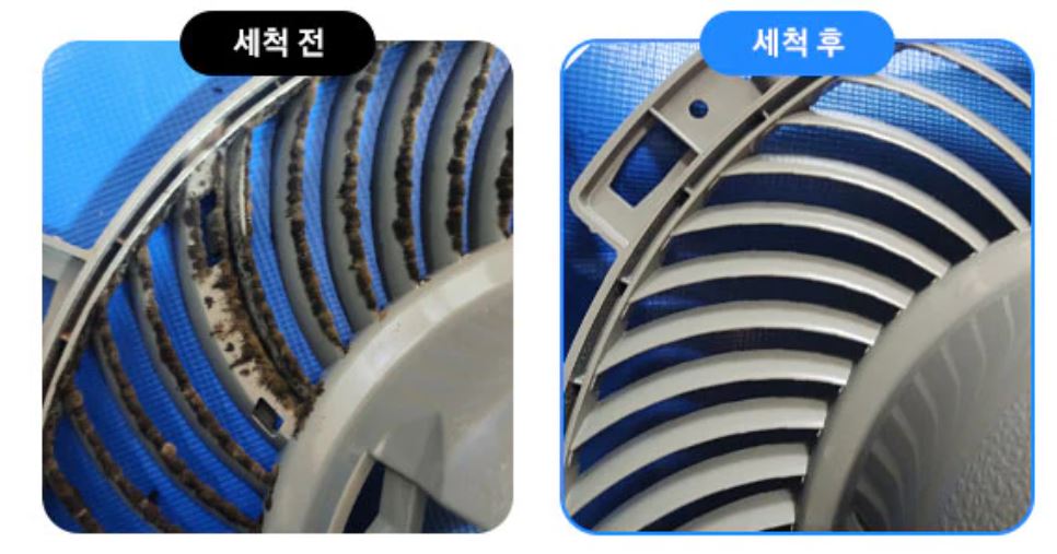 세척 전,후