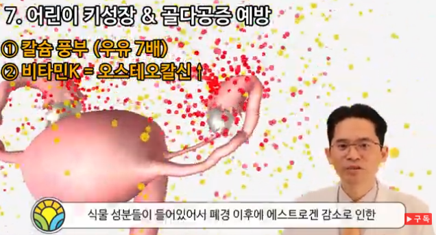 감태 효능과 조리법