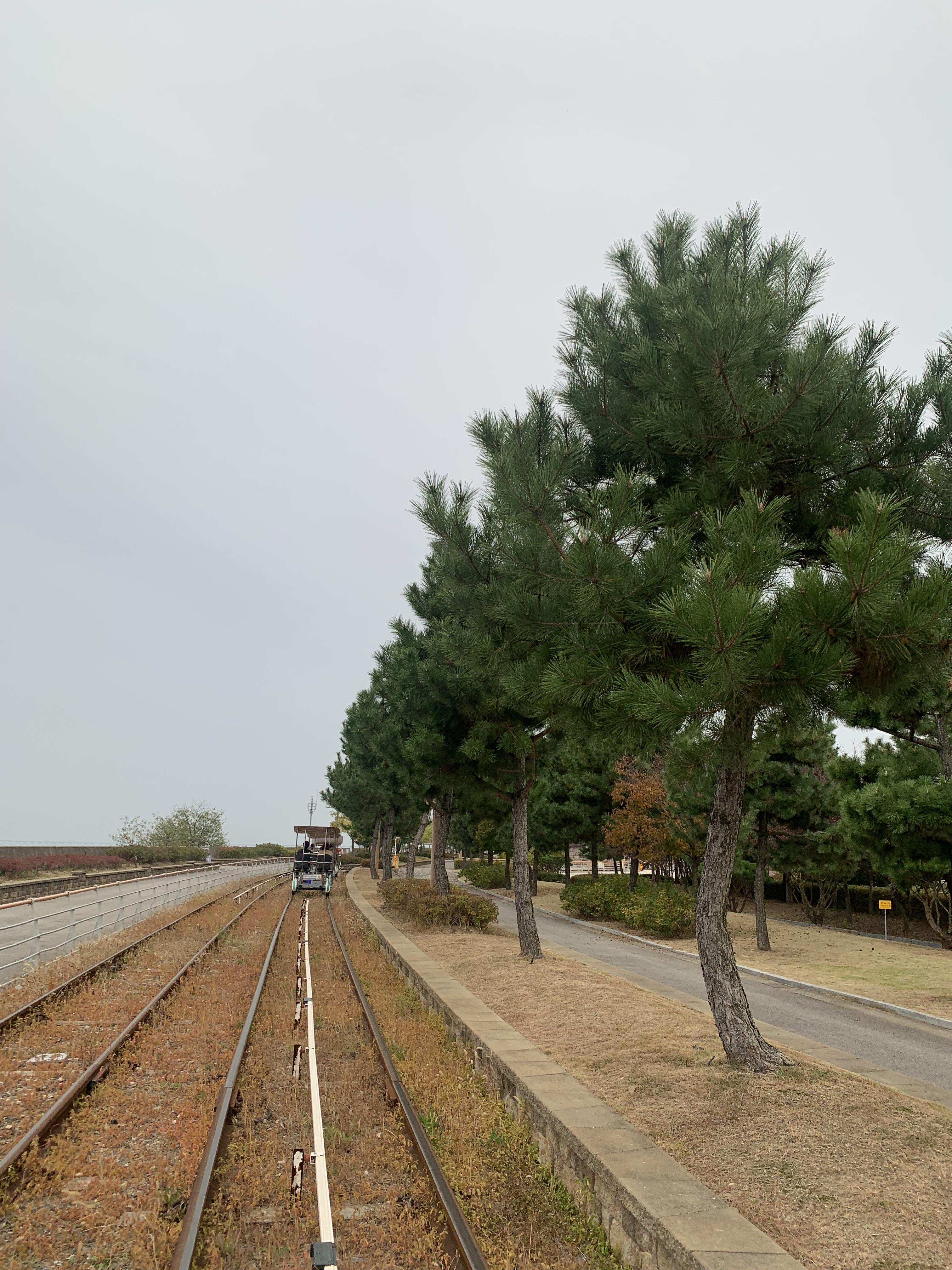 영종도 레일바이크