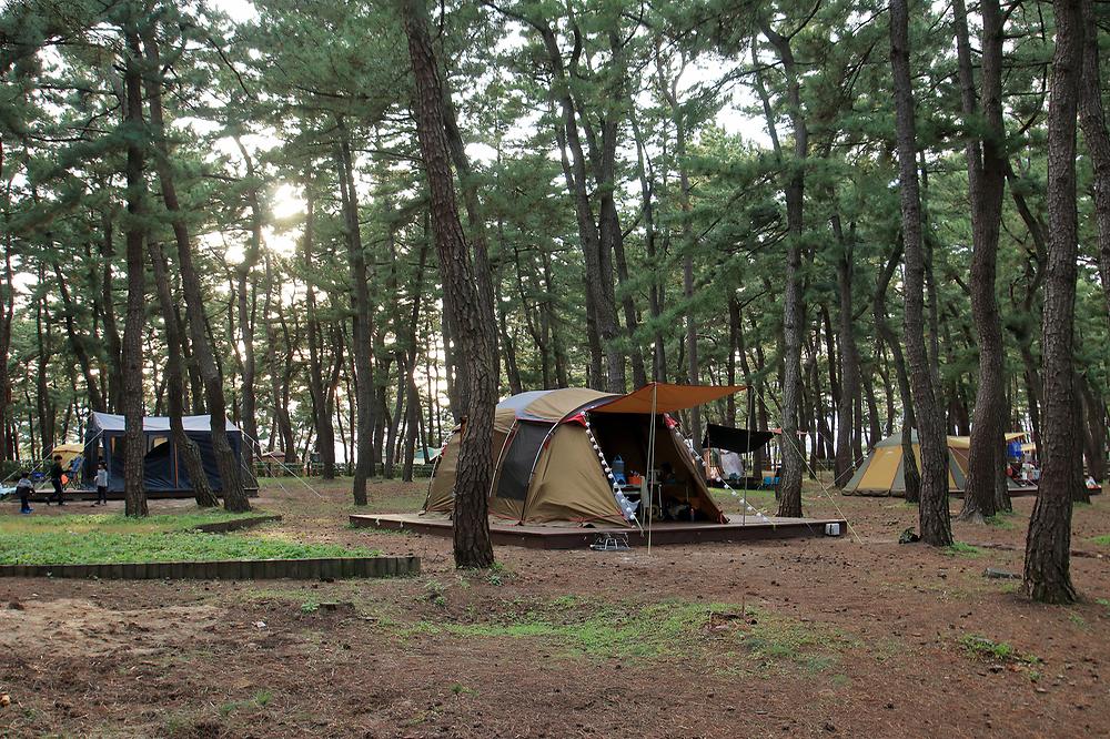 솔향기캠핑장

주소 강원 강릉시 연곡면 해안로 1282-10