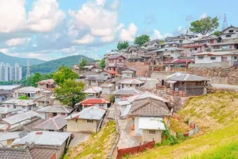 순천 여행코스 추천 순천만습지와 근처 맛집 일정 정리_9