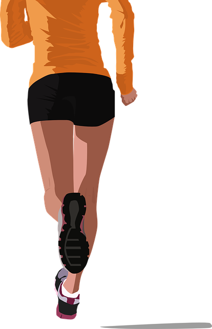 단백질 보충제 기준