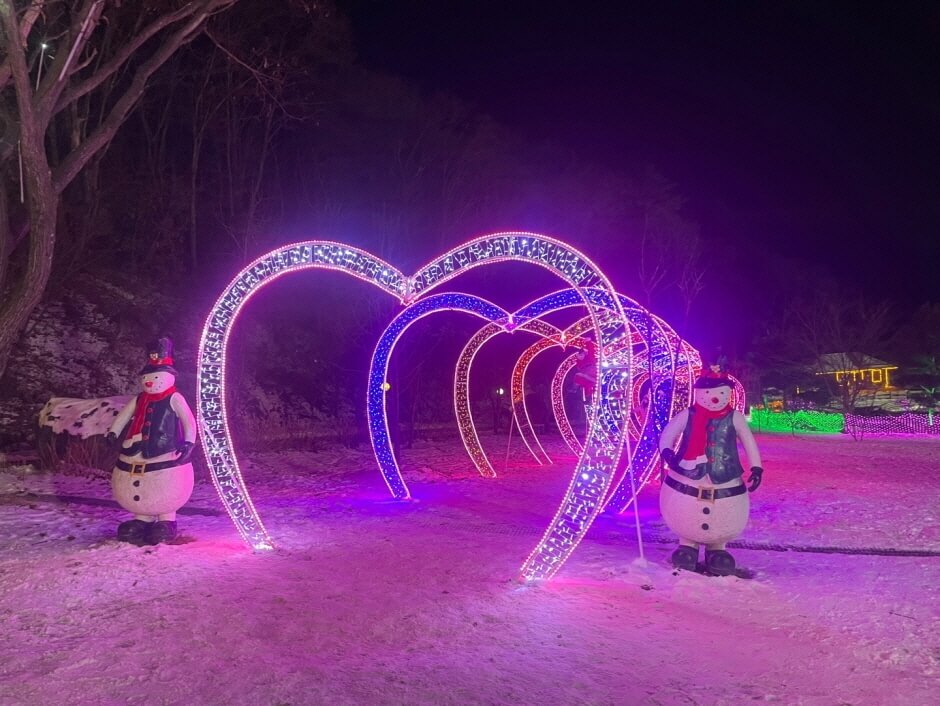 허브 아일랜드 빛동화축제