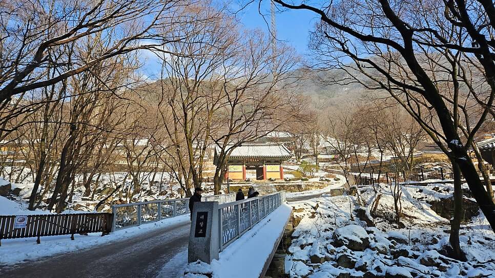양평 용문사 : 천년의 숨결을 간직하고 은행나무 아래서 찾는 마음의 휴식과 여유가 있는곳