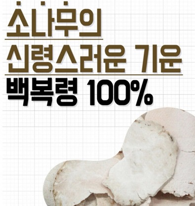 금강송-복령
